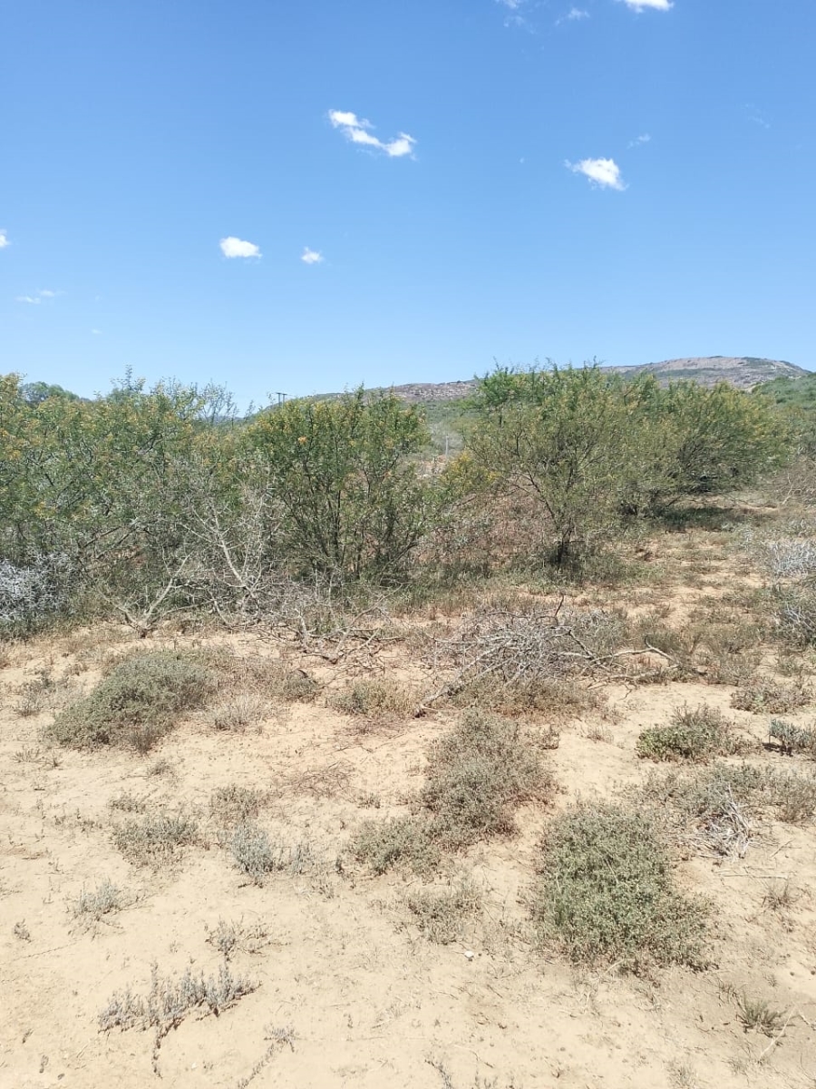 Commercial Property for Sale in Bushmans Sands Golf Estate Eastern Cape